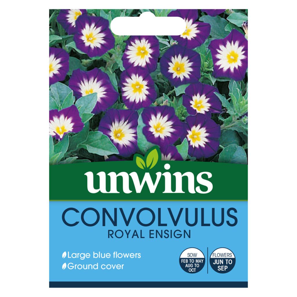 Unwins Convolvulus Royal Ensign Seeds 5051618010610 2